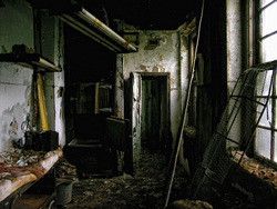 Forest Haven (Laurel, MD) | In Memoriam