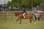 SBM_10701