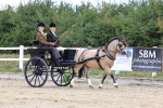 Class 4 - Junior Whip portfolio