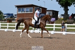 Cls 35 - Adv Medium 5, Start to 17.20 portfolio