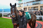 151125-Race 7-Divine Diva-4554