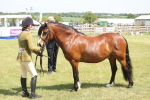 SBM_06979