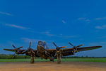 _MG_0665