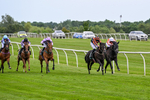 Race 6 17.10pm Racing Again 8th July Handicap portfolio