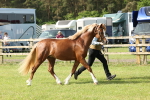SBM_00719