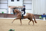 SBM_013683_Class 3 - FEI PSG - 1203-1307