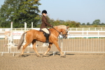 SBM_01122