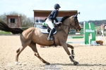 Cls 3 Snr Foxhunter portfolio