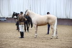 SBM_5197
