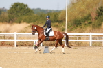 SBM_017639