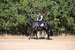 WJ6_6735