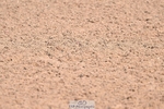 260812-104753-00212