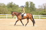 SBM_008047