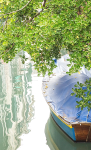 BOAT & FOLIAGE- VENICE