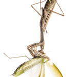 ITA_PHD_20111106-031