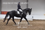 27th Sept 2025 - DRESSAGE - MUIRMILL EC portfolio