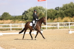 SBM_008569