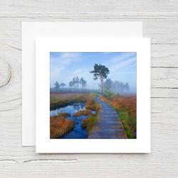 Thursley Common