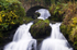 Rouken Glen waterfall, Glasgow - 2950