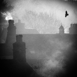 Square Format portfolio