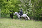 WJ6_1668