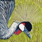 Crowned Crane, Masai Mara, Kenya