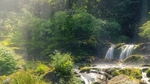 Lydford Gorge Misty Falls_72