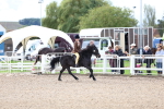 SBM_00377