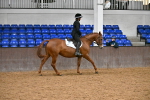 SBM_003061