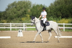SBM_007392