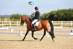 SBM_008341