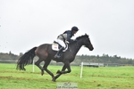 645-COOLEY.CORPELLO-Francesca.Swallow-SC+XC portfolio