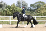 SBM_016713