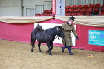 SBM_00426