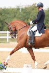SBM_007391