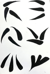 Ocean Wings Two
