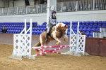 SBM_000979