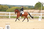 SBM_002335