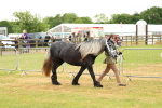 SBM_00374
