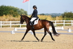 SBM_009531