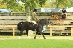 SBM_68182