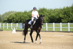 SBM_007408