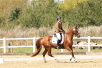 SBM_018797