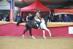 SBM_09640