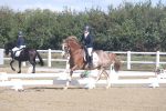 SBM_001566