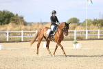 SBM_015249