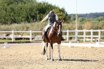 SBM_003412