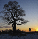 Beacon Walk
