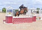 BPP_2386