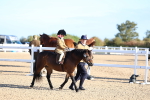 SBM_07793